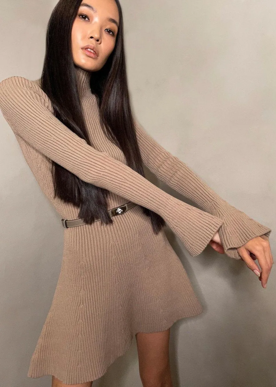 Autumn Chic - Ribbed Knit Turtleneck A-Line Dress