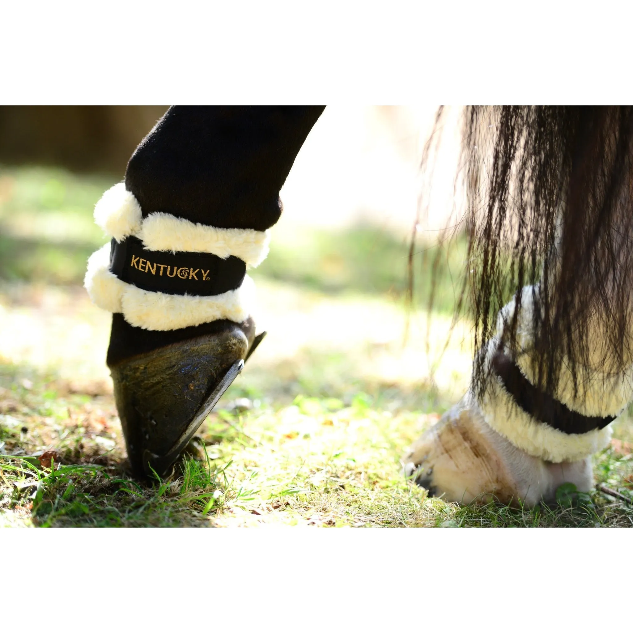 Kentucky Sheepskin Pastern Wrap