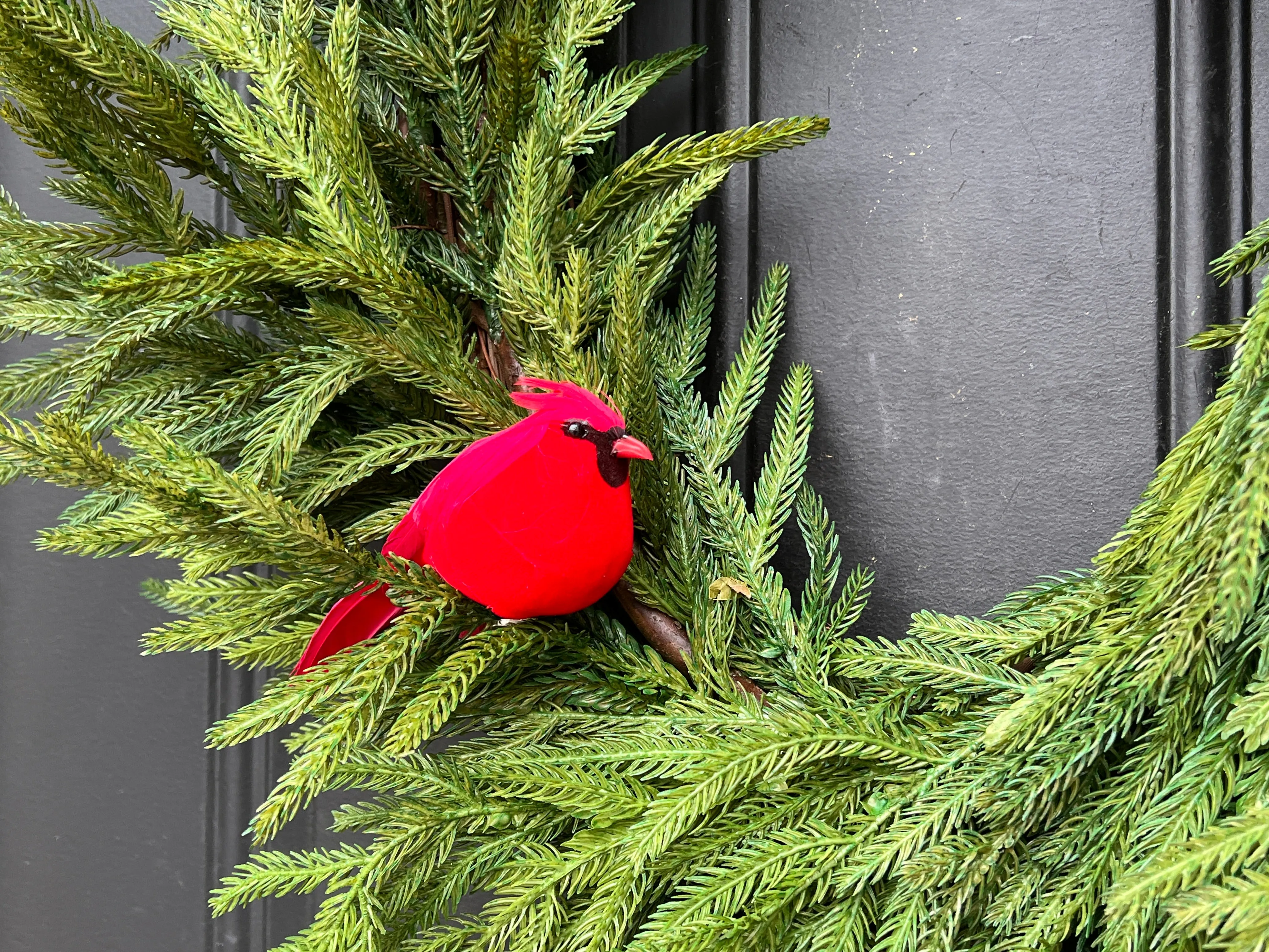 Natural Touch Norfolk Pine Wreath with Red Cardinals