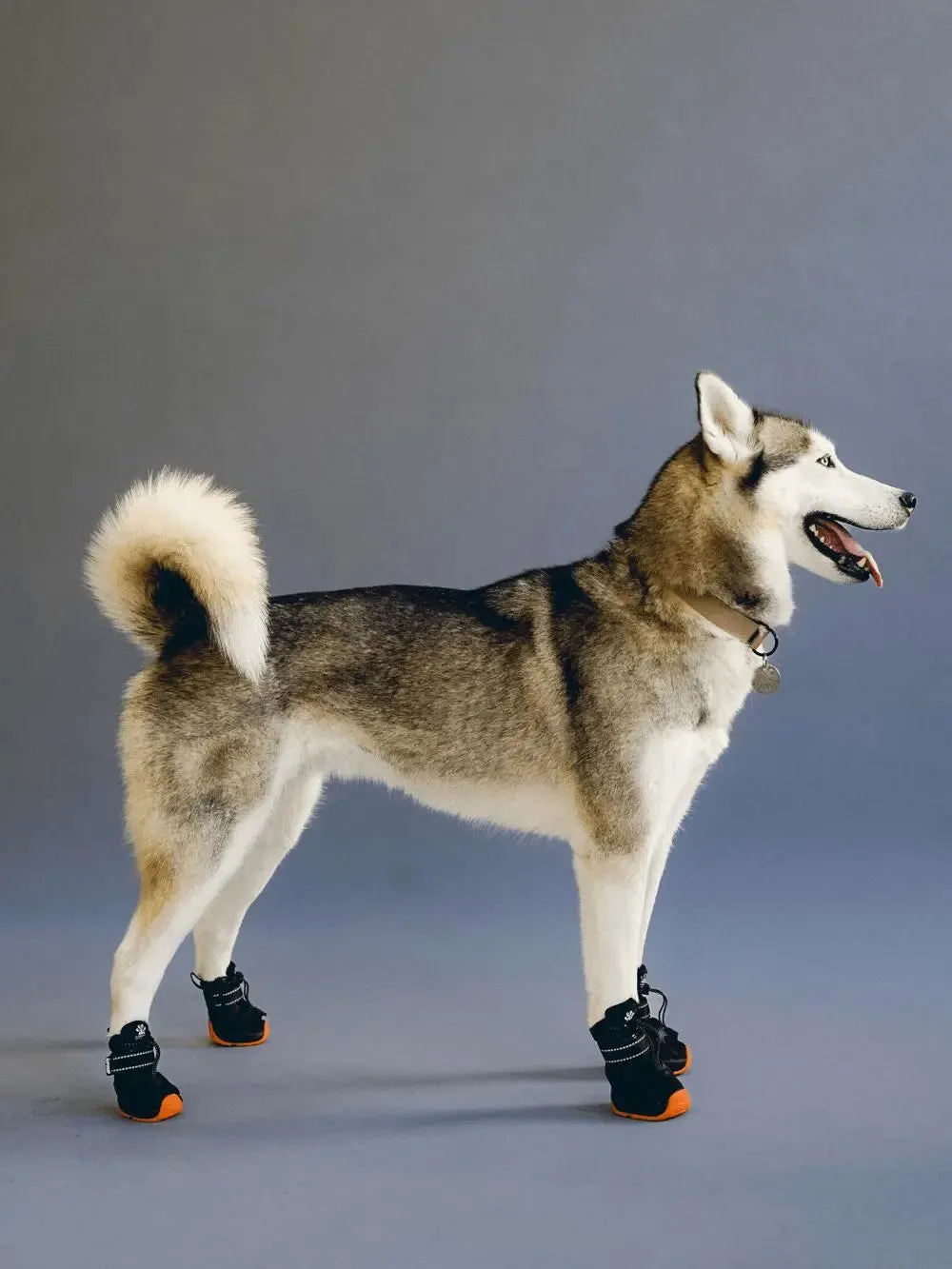 RIFRUF - Apolo 1- Winter Boots for dogs