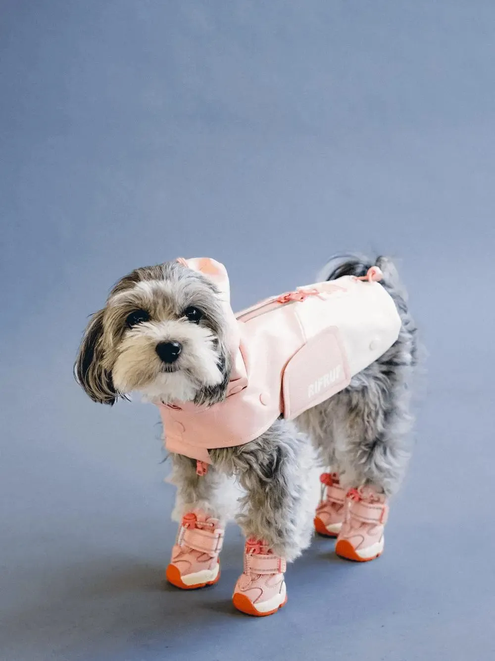 RIFRUF - Apolo 1- Winter Boots for dogs