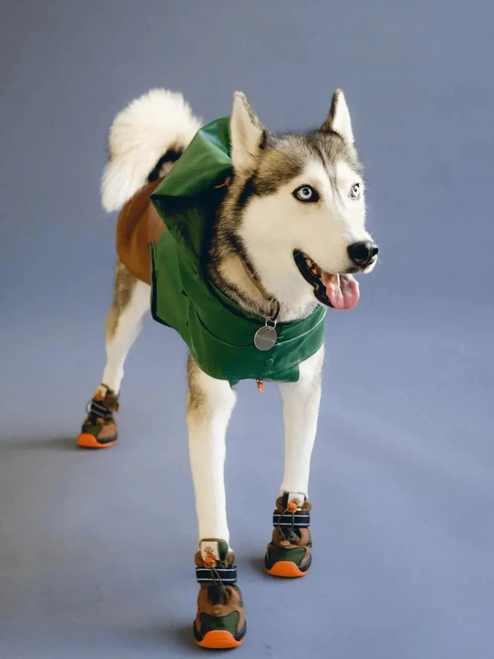 RIFRUF - Apolo 1- Winter Boots for dogs