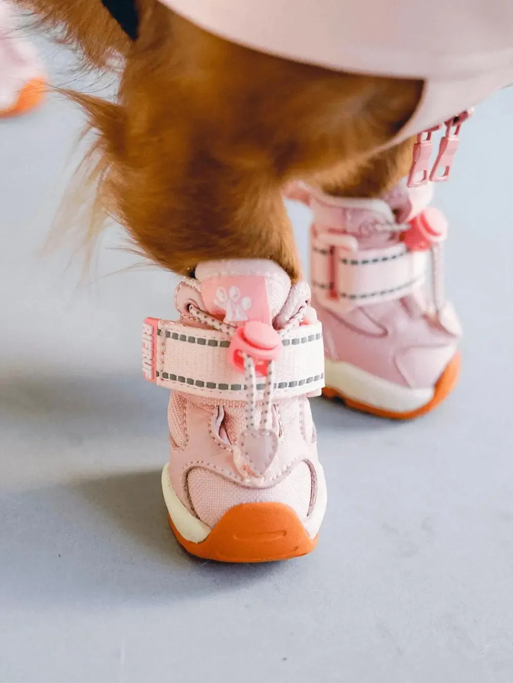 RIFRUF - Apolo 1- Winter Boots for dogs